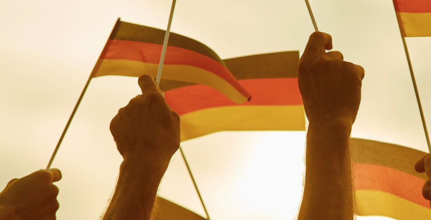 AfD Loses EU Trademark Rights Amid Rising Far-Right Momentum in Germany