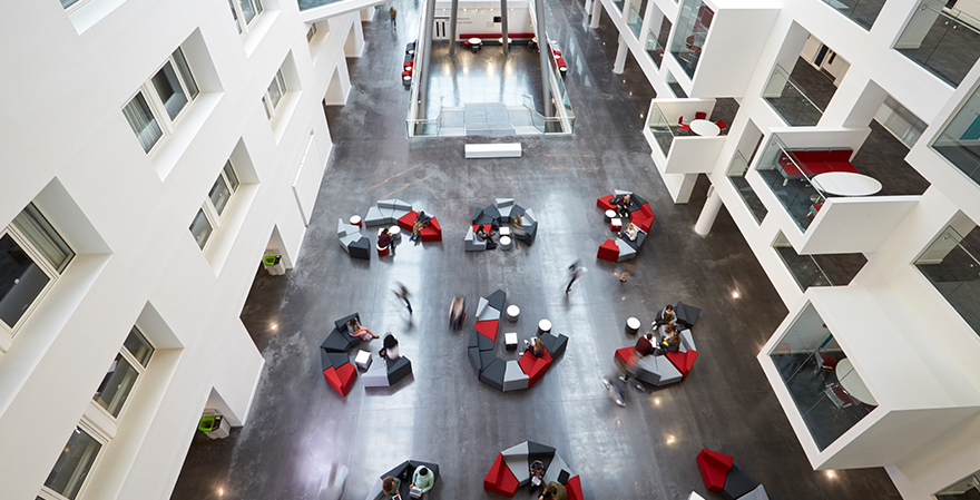 Eli Lilly and Novo Nordisk at the Center of Drug Pricing and Brand Protection Battles
