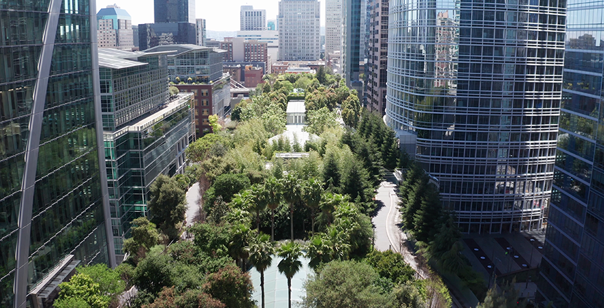 Salesforce Eyes AI Trademark Battle Amid Political Turbulence